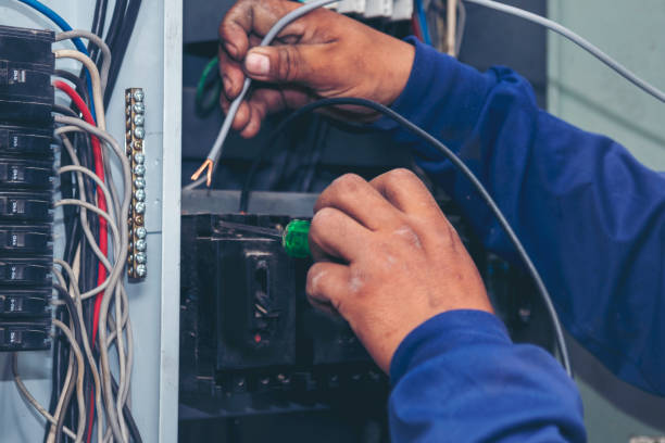 Best Licensed Electrician  in Gulfport, FL